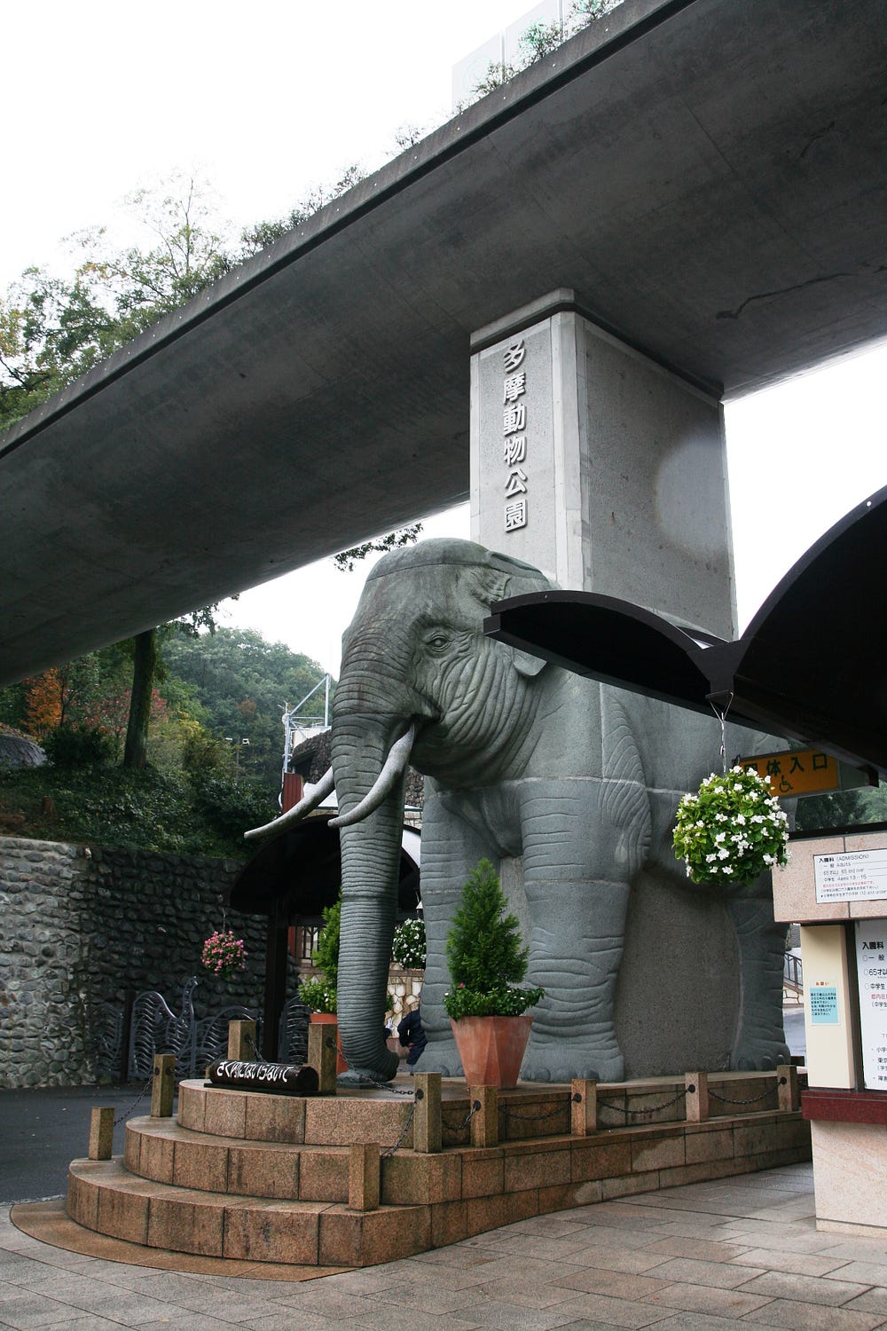 多摩動物公園 在70年代出生長大的我 是當年荔園的長期擁躉 而那被困在圓沙地內的大象伯伯也定是 By 日本村姑