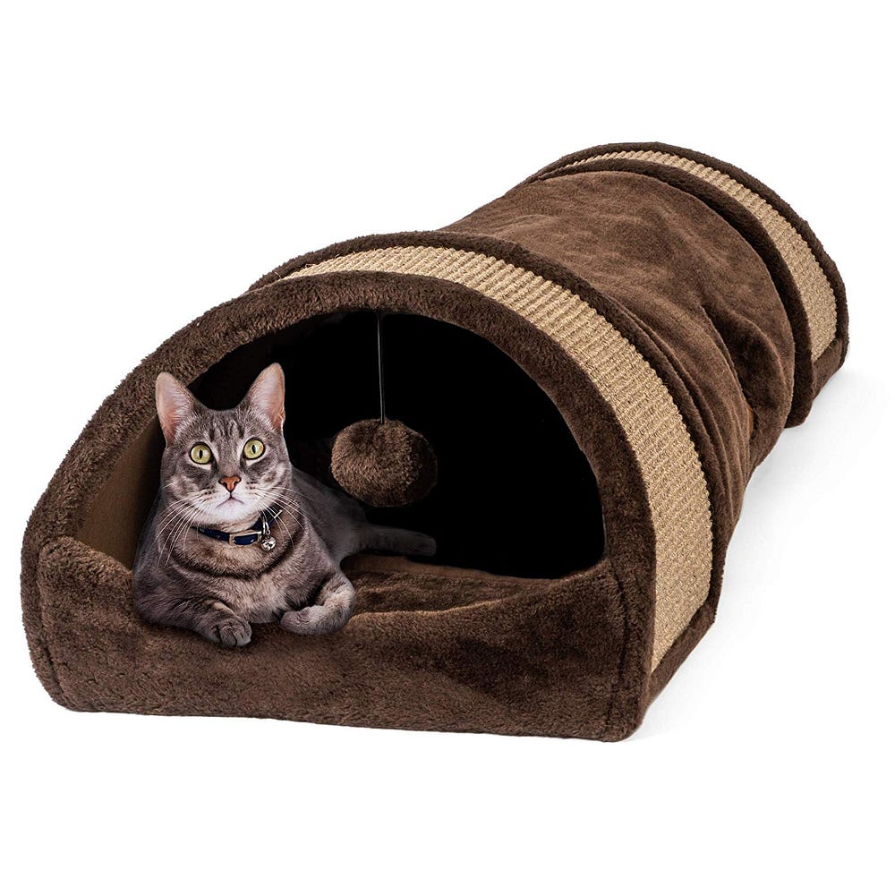 Why Your Feline Needs a Cat Tunnel by Humane Goods Medium