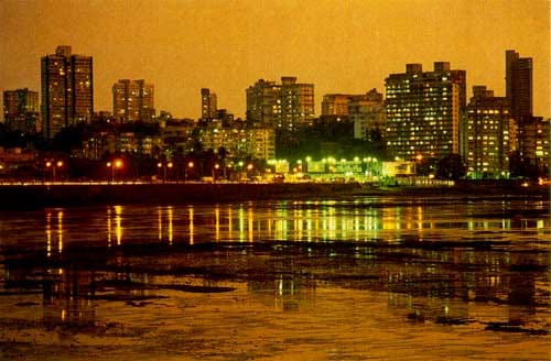 5 Things to Do in Dadar — The Cultural Hub of Mumbai by alwin smith