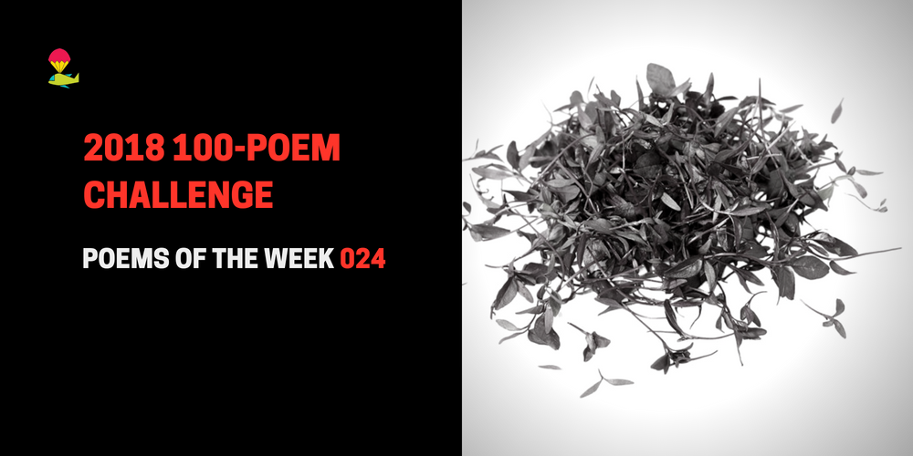 100 Flowers Movement Ppt China Under Mao Zedong 1949 1976 Powerpoint