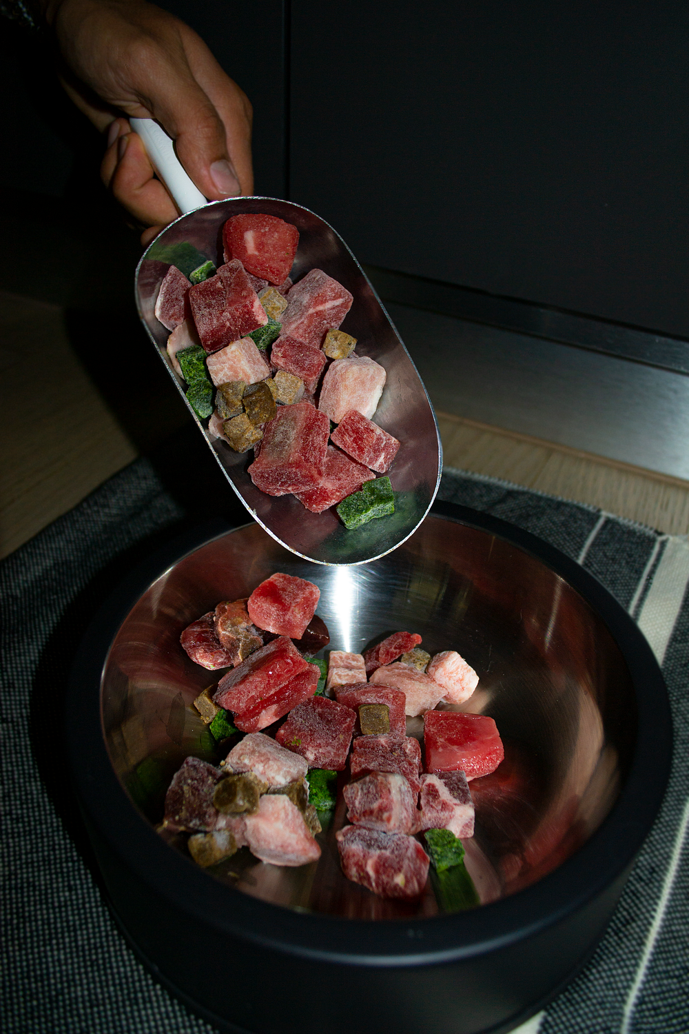 dcm raw diet