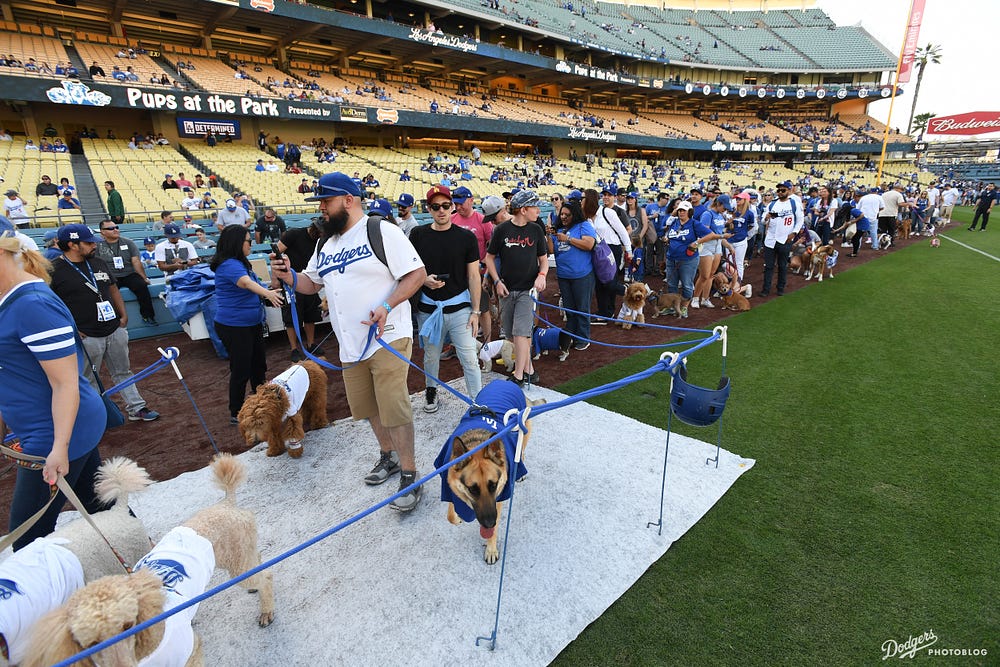 Photoblog Dodgers host Pups at the Park Dodger Insider