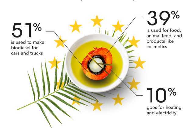 The Wonders Of Palm Oil History By Hamna Qasim Medium