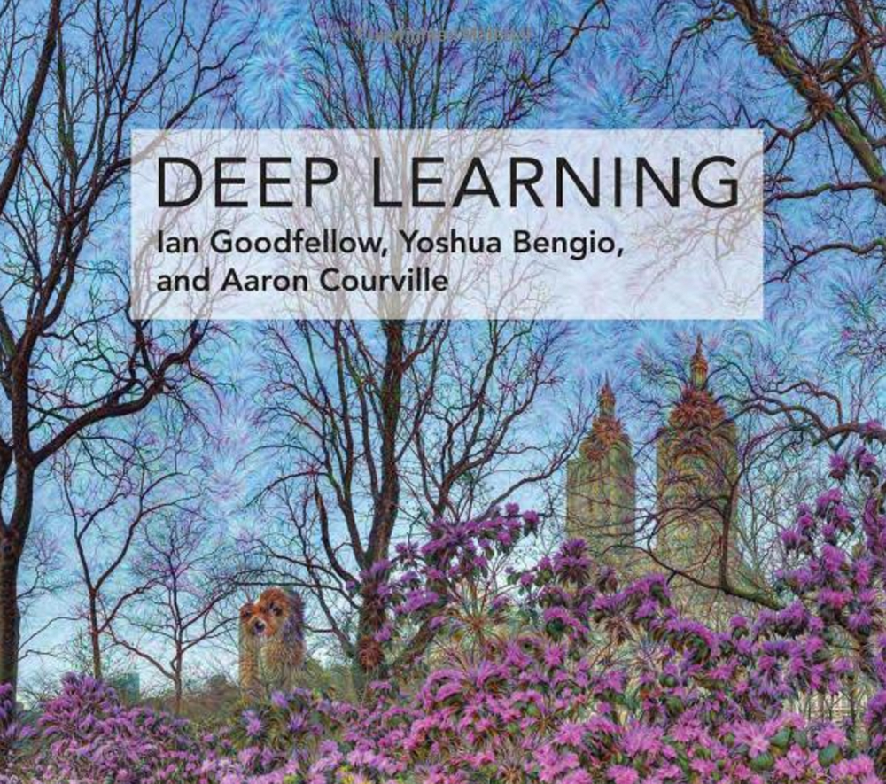 Deep Learning Chapter 1 Introduction By Alena Kruchkova Becoming