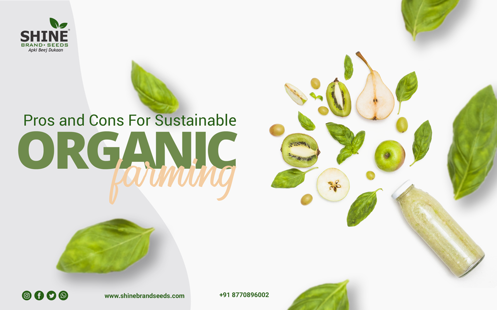 Pros and Cons for Sustainable Organic Farming | by Shine ...