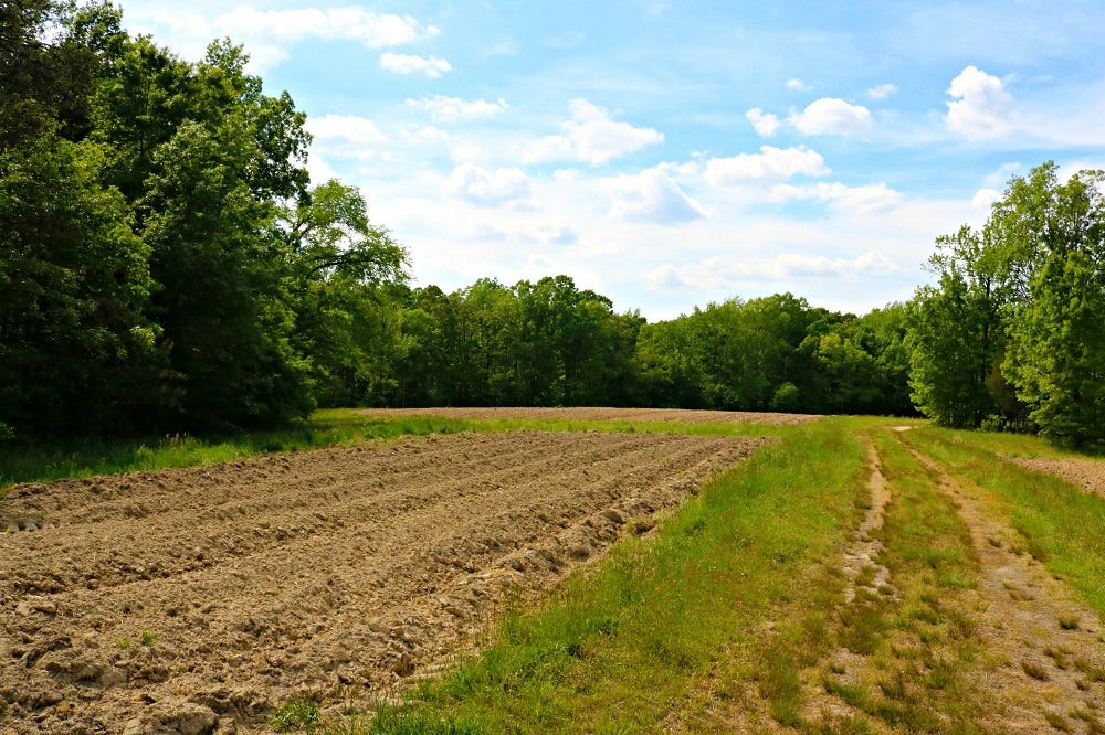 Development Property for Sale Greensboro NC by Steve Cook Medium