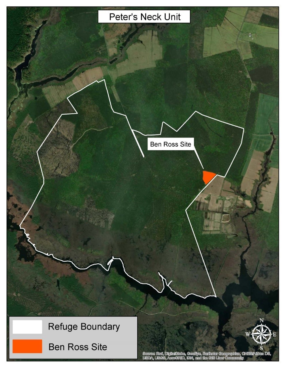 Protecting Our Roots Tubman Homestead Discovery By U S Fish And Wildlife Service Updates From The U S Fish And Wildlife Service Medium