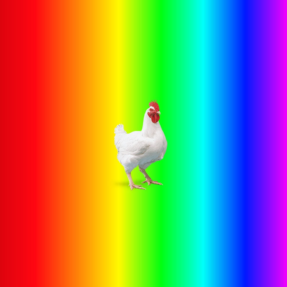 Why Did The Chicken Cross The Road Ask A Chicken By Ian Gonsher Medium Why Did The Chicken Cross The Road Ask A Chicken By Ian Gonsher Medium