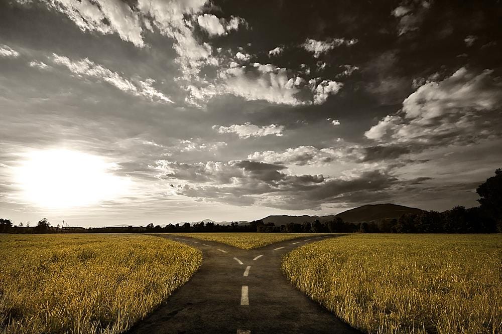 When you come to a fork in the road… take it.” | by Scott Myers | Go Into  The Story
