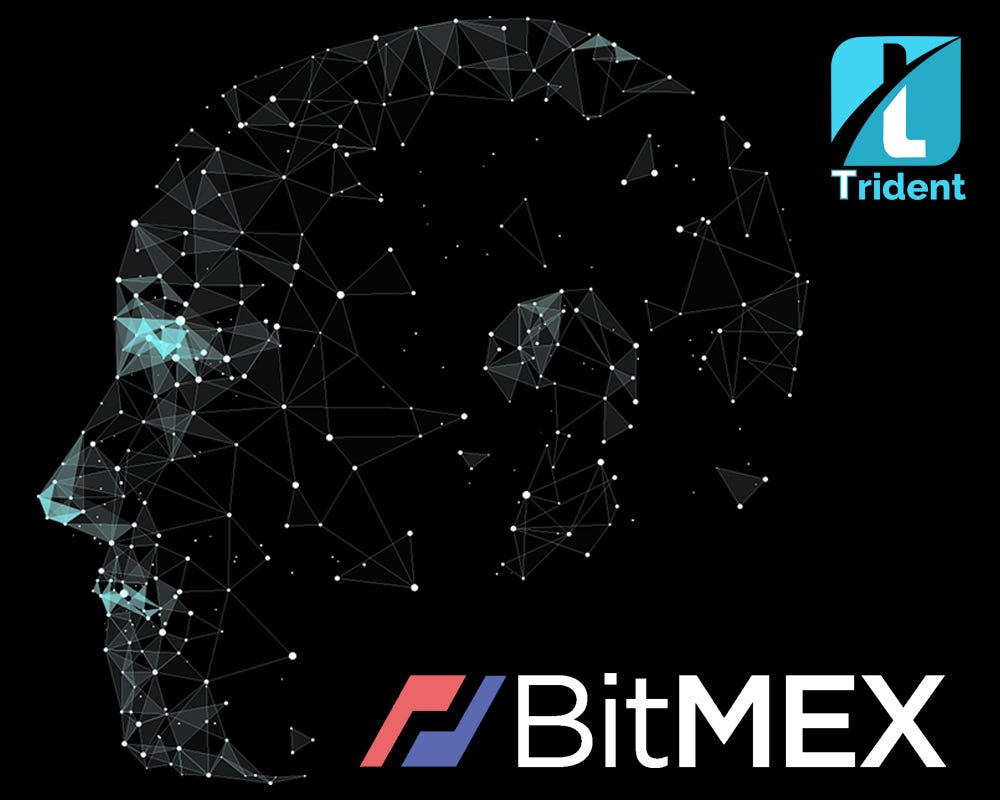 Trident Bitmex Volatility Fund - Trident Crypto Index Fund - Medium