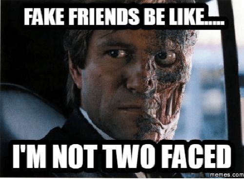 Defining Friendship And Determining Fakes By Annie Goodman Anni E Nberg Medium