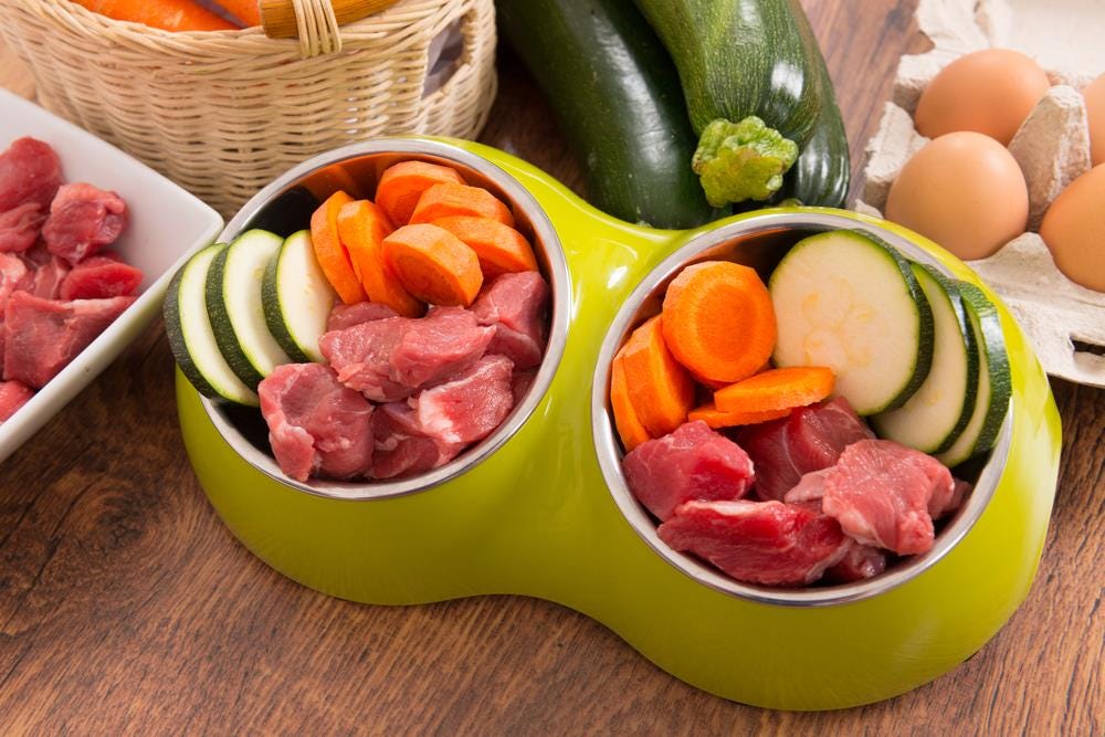 raw food for pitbulls