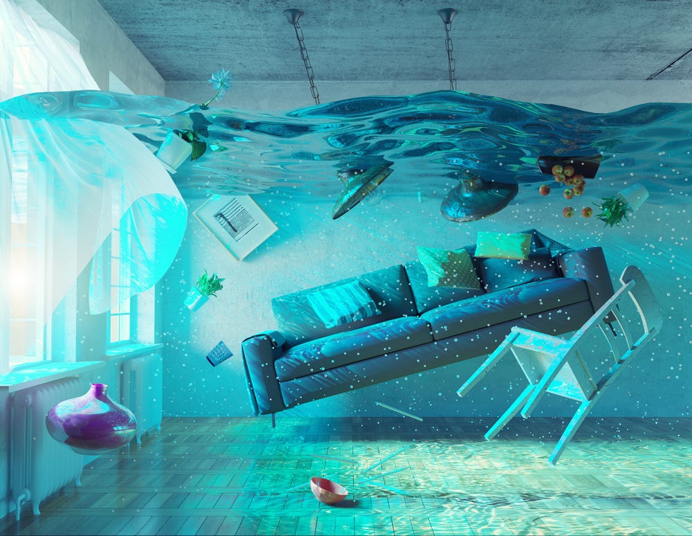 Florida Insurance Companies to Save Your Property from Floods by FL