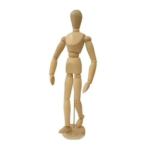Human body model
