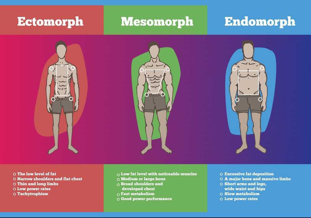Which body type are you?. Do you know that your body has a… | by truppr |  Medium