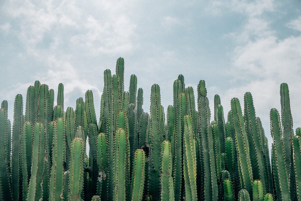 Simple VGG like CNN in Aerial cactus identification contest on Kaggle