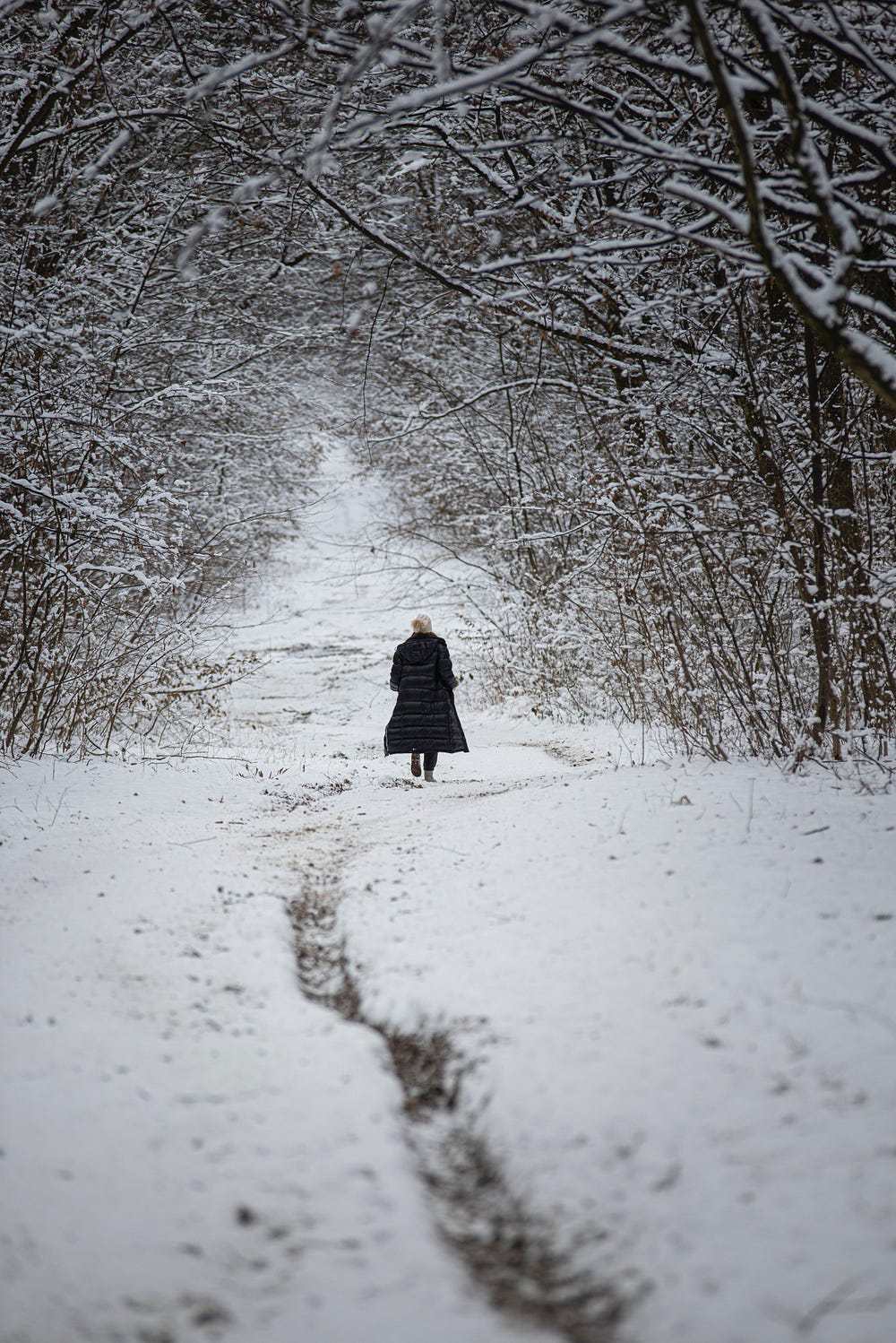 Garlic Scented Snow Days The Fight Was About Garlic A Bulb Of By Sara J Elliott Tell Your Story Medium