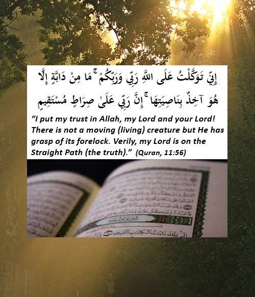 About Tawakkul Trust In Allah Why Is It Important To Have Tawakkul By Iqrasense Medium