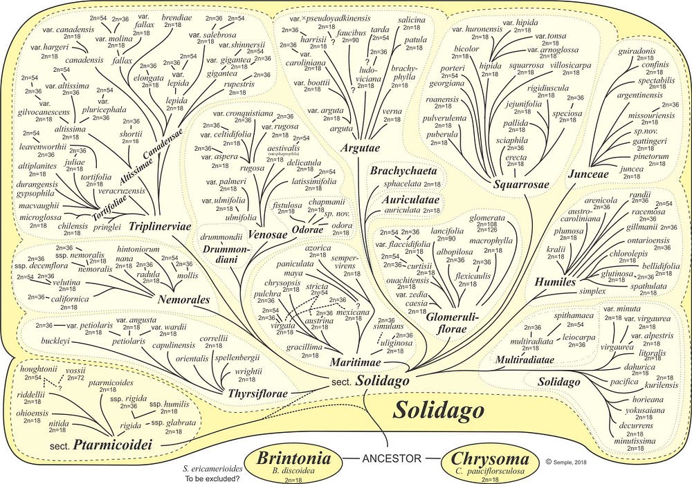 Matrix Phylogeny for Machine Learning - Towards Data Science