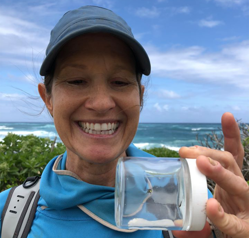 Dr. Plentovich is wearing a hat and blue shirt. In front of her she holds a glass jar containing a Hawaiian yellow faced bee.