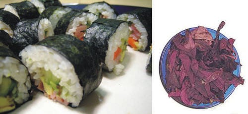 The Incredible Uses Of Algae Algae Are Plant Like Protests Neither By Amy Wilson Medium