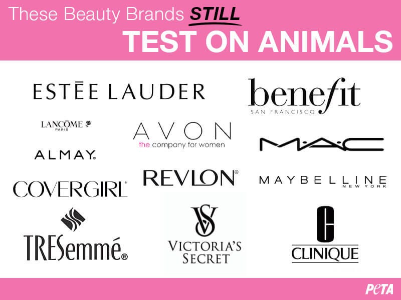 Animal Cruelty Why Makeup Seems Harmless But When The By Miriann El Makdad Medium