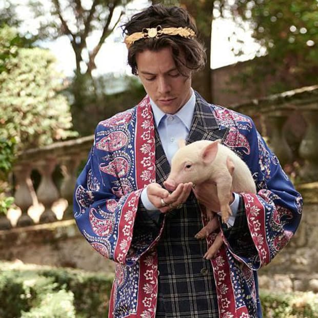 Harry Lights Up Letting My Freak Flag Fly High By Mindful Music Medium