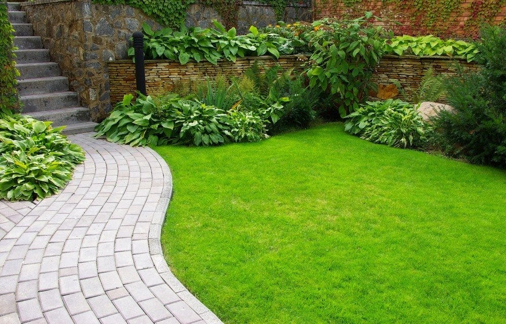 How to care for your lawn in 5 best ways