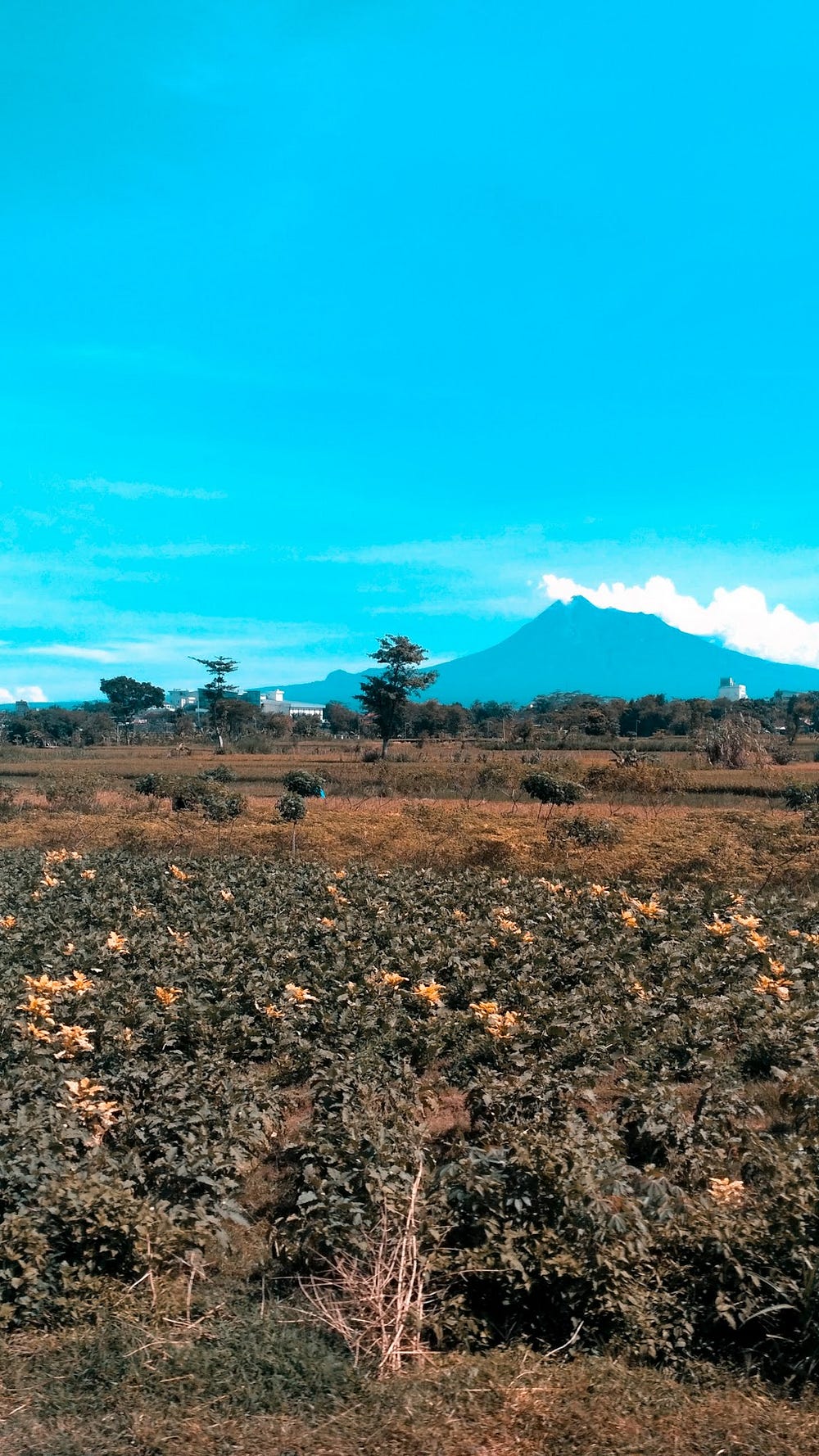 Colonialism Pijak Langkah Kaki Penjuru Negeri