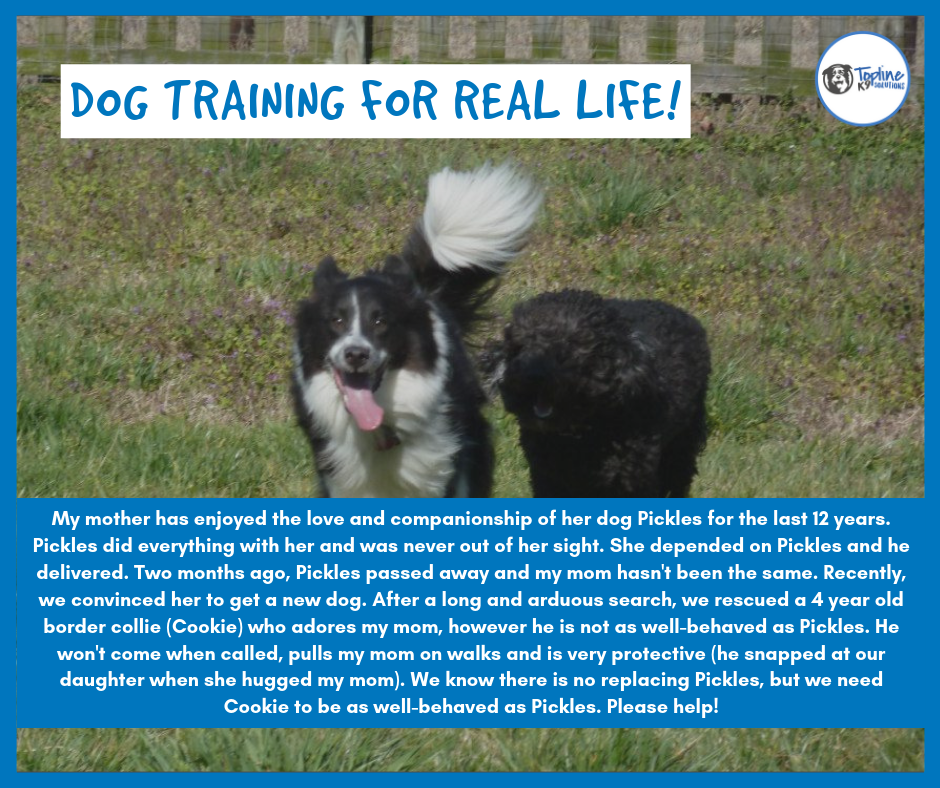 Dog Training for Real Life What does that mean for you? by Topline