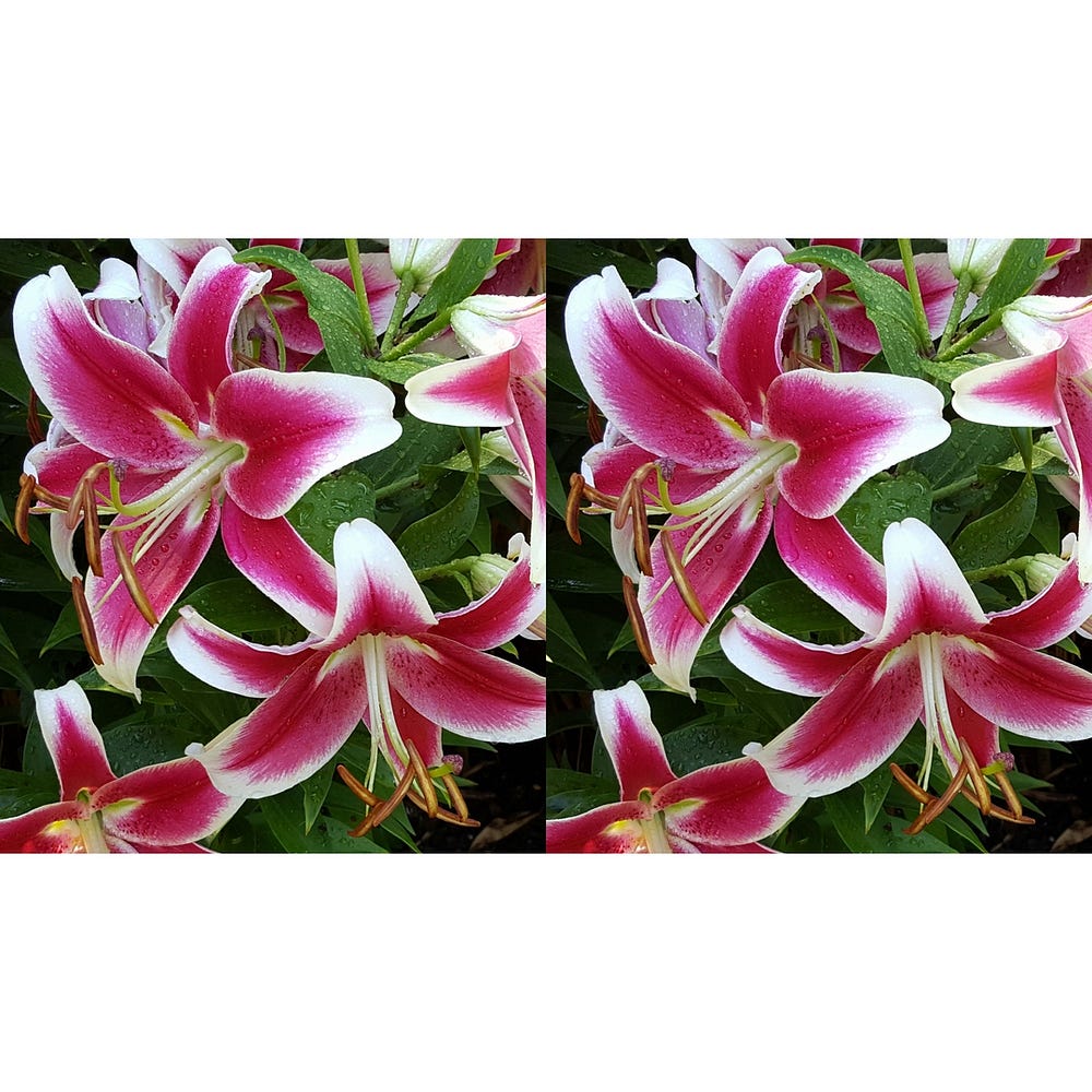 Virtual Reality Without A Headset By Andy Modla Coinmonks Medium