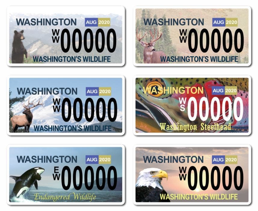 Personalized License plates — Automotive Style for Species Conservation by The Washington