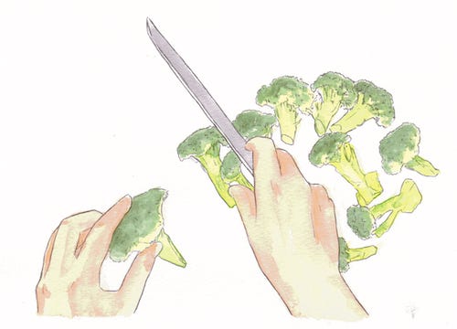 An illustration of broccoli