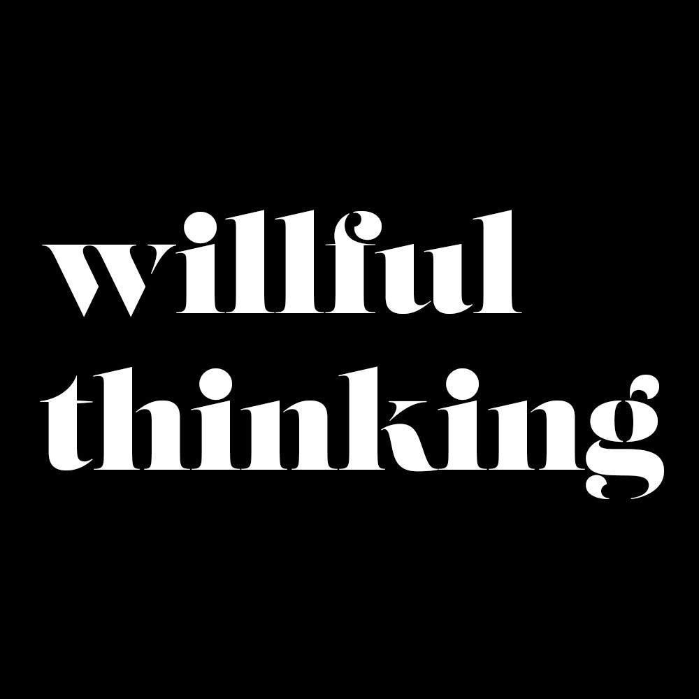 what is the meaning of willful thoughts in paragraph 16