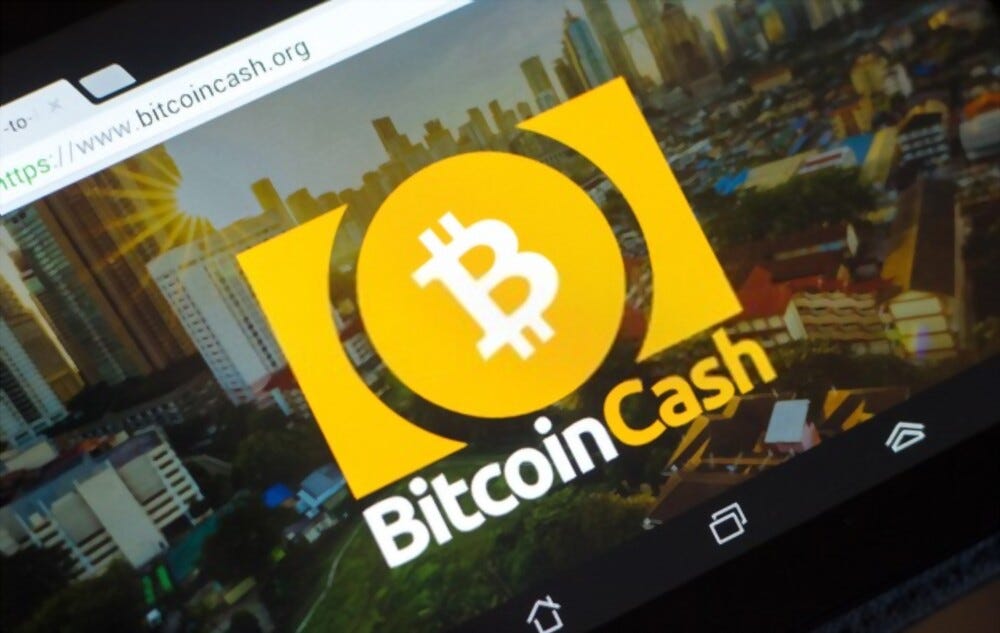 would you invest in bitcoin cash
