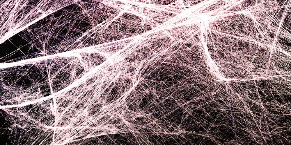 Fascia Changes Everything - Jennifer O'Sullivan - Medium