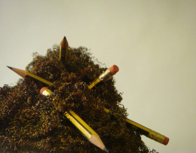 Hair Pencil Test