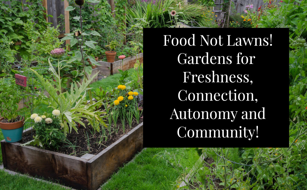 Food Not Lawns How And Why To Turn Your Yard Into A Garden By Heather Jo Flores Permaculturewomen Medium