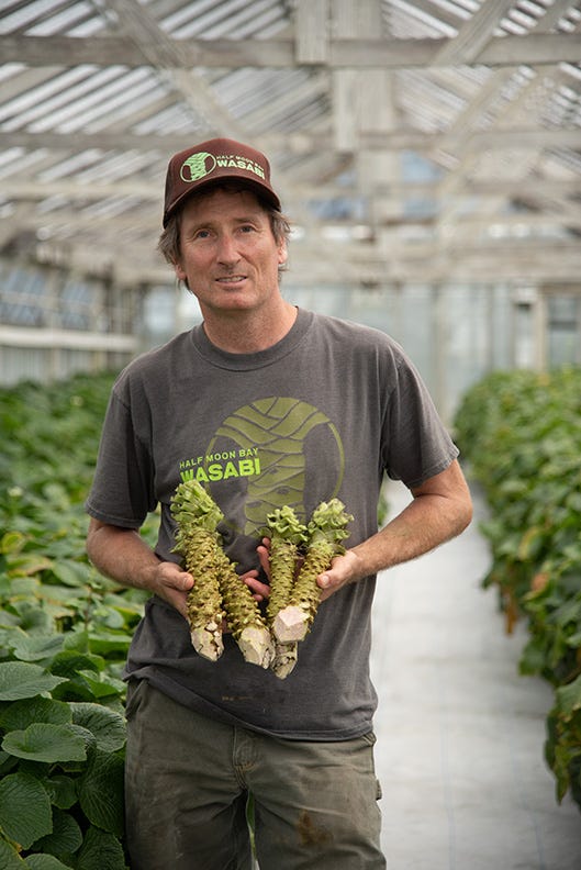 The San Mateo Coastside has…a trailblazing wasabi farm? by Anna R