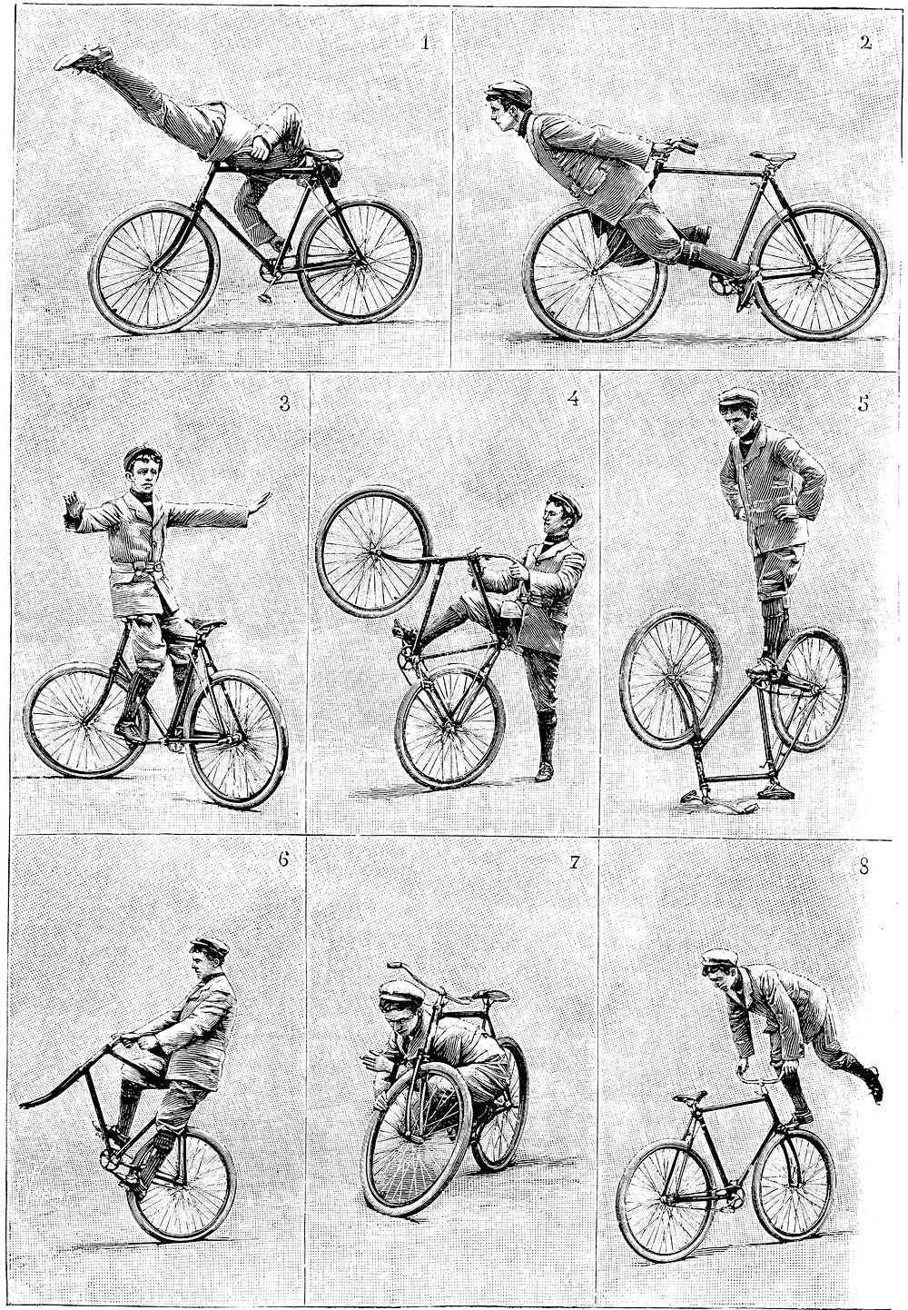 black russian professional bike