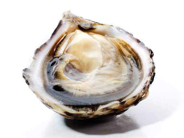 Where to Buy Fresh Oysters Online