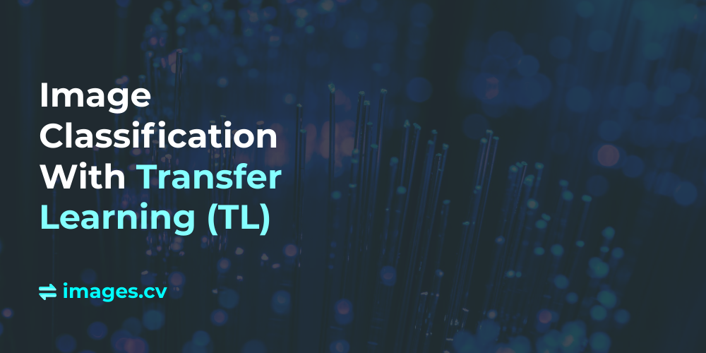 Image Classification With Transfer Learning (TL) | by Yaniv Noema ...