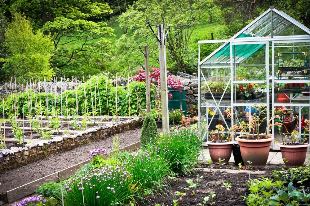 The Food Grown In The Garden Near Your Log Cabin Can Be The