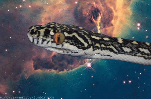 5 Fun Ways to Start Learning Python! | by Daniel Fenjves ...