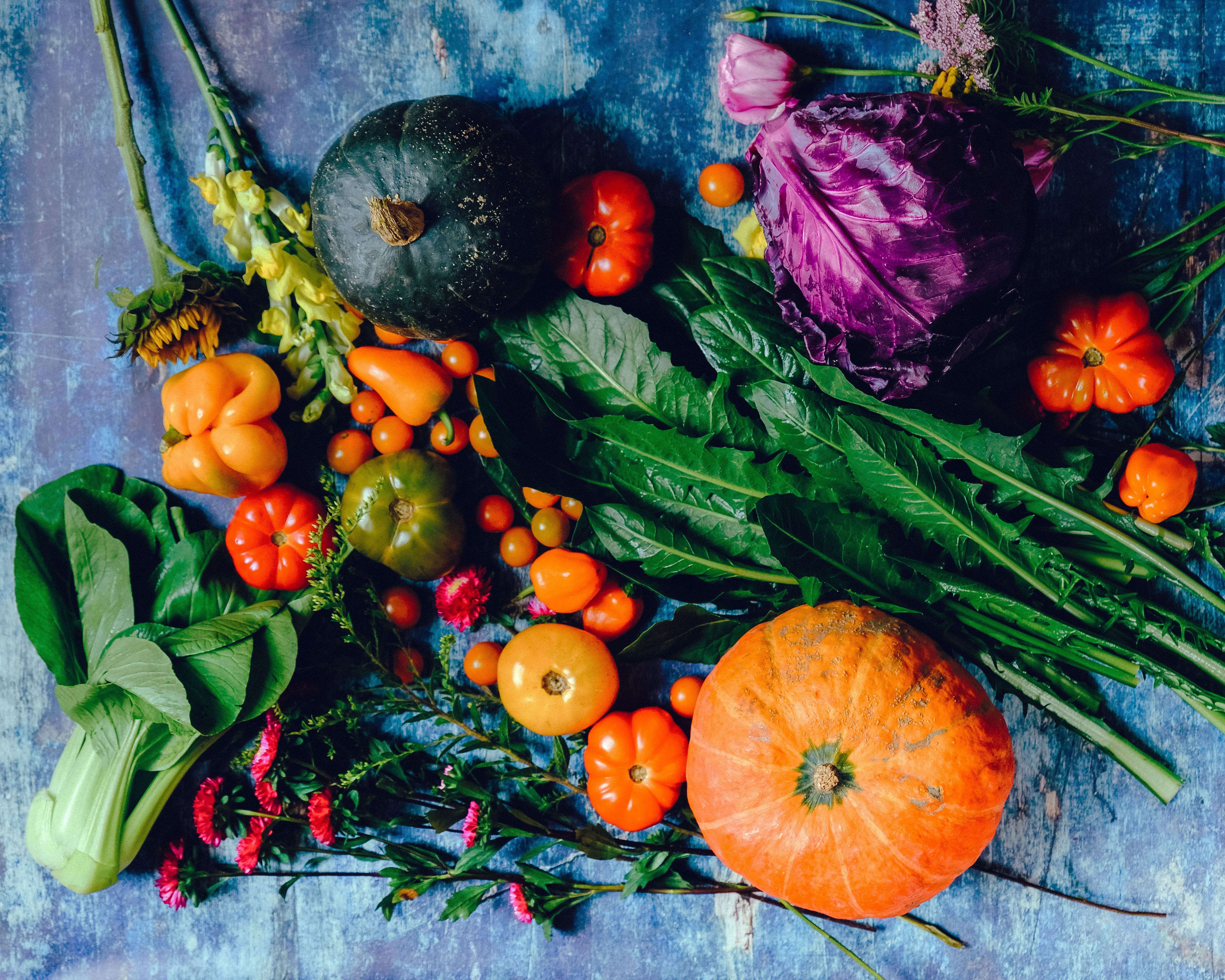 An Ayahuasca Diet You Can Enjoy Let S Discuss The Spiritual Scientific By Sit Quietly Medium