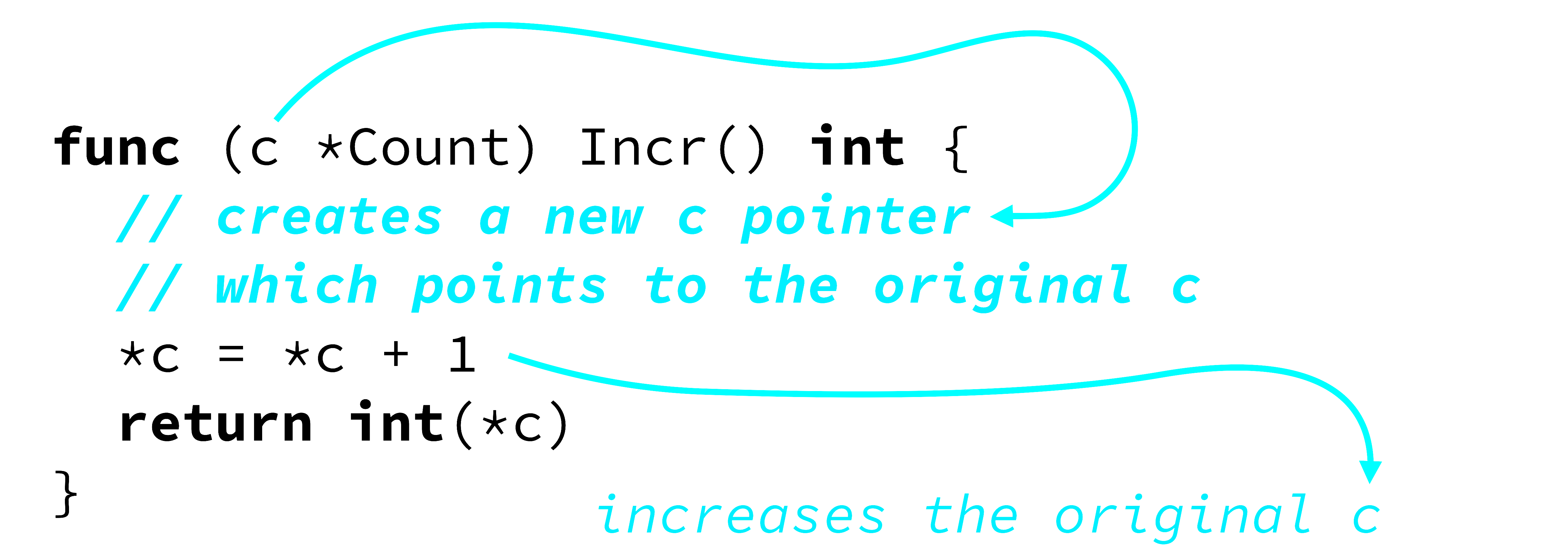 The Zoo of Go Functions. An overview about: Anonymous… | by Inanc Gumus ...