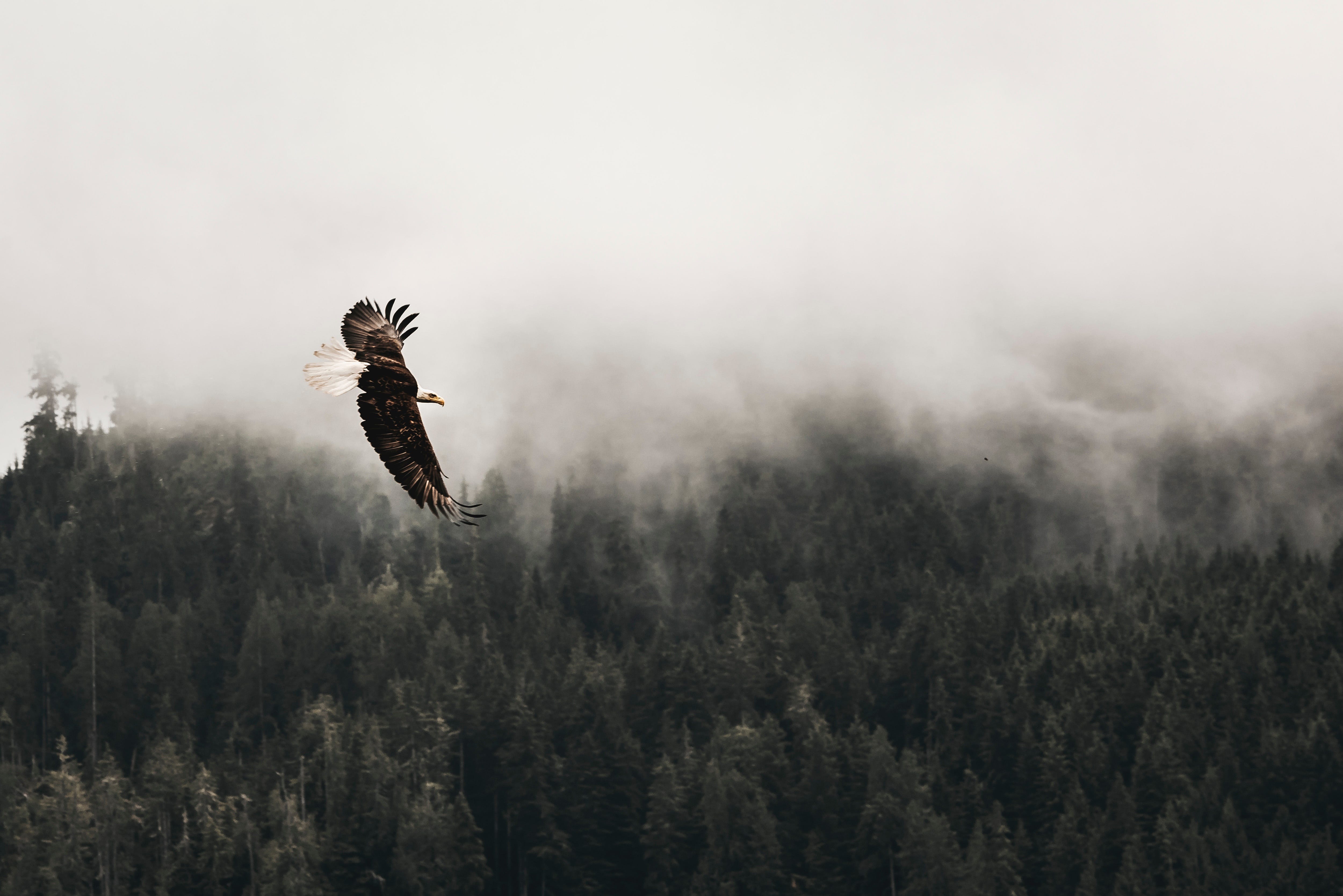 The Truth About Silence It S More Than Nothing And Might Even By Jon Tobin A Few Words Medium