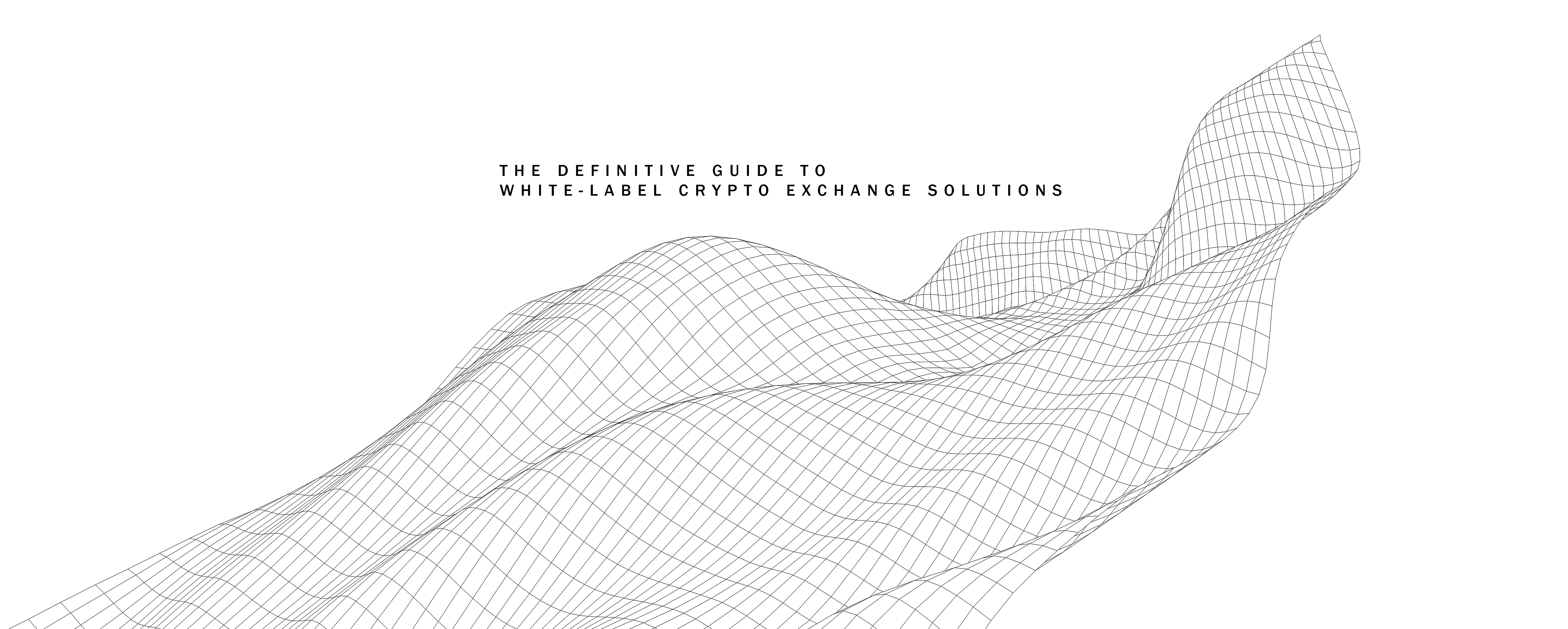 The Definitive Guide To White-Label Crypto Exchange ...