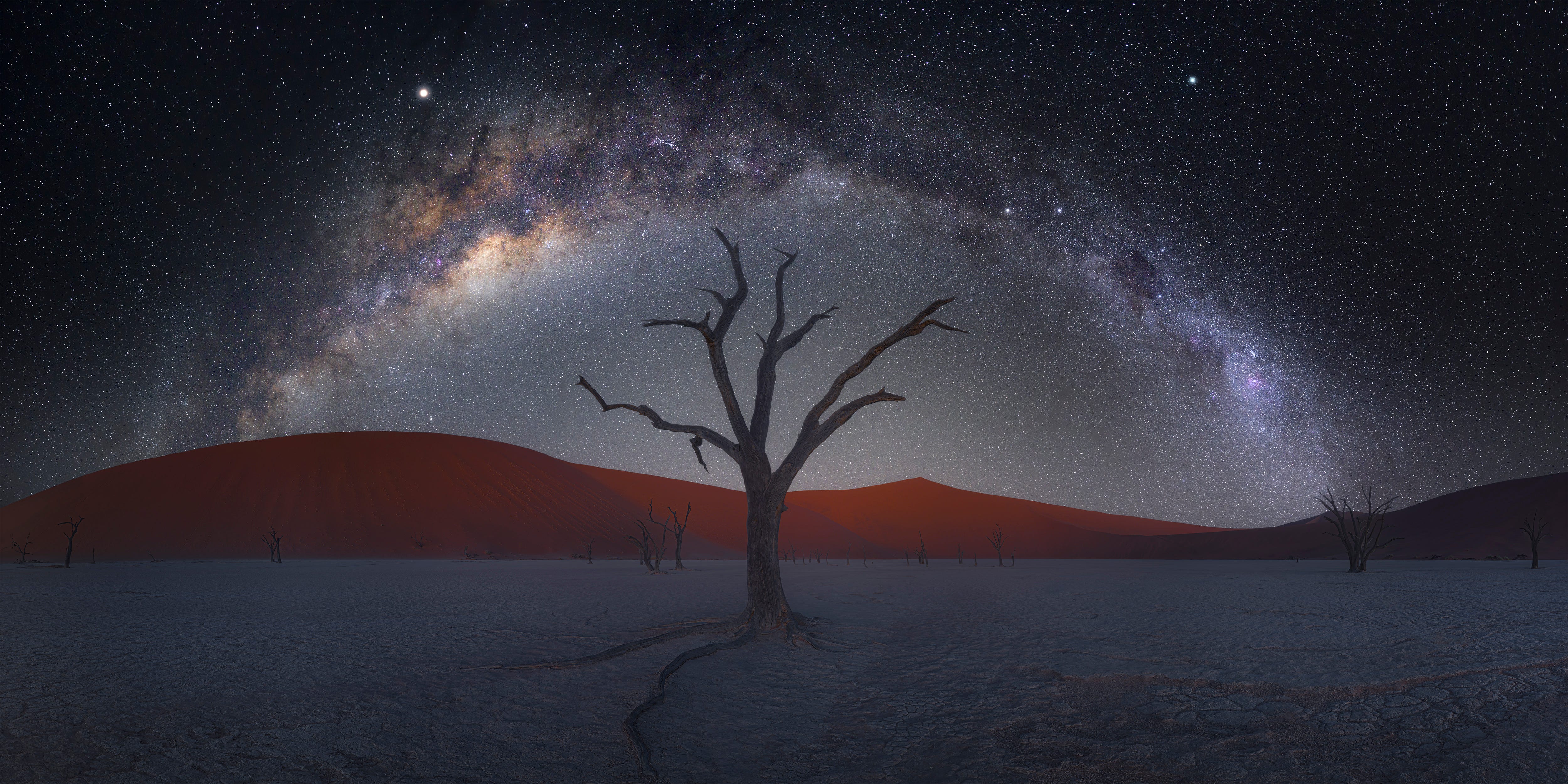 A fine art photograph of a bare tree on a desert landscape, crowned by a sky full of stars