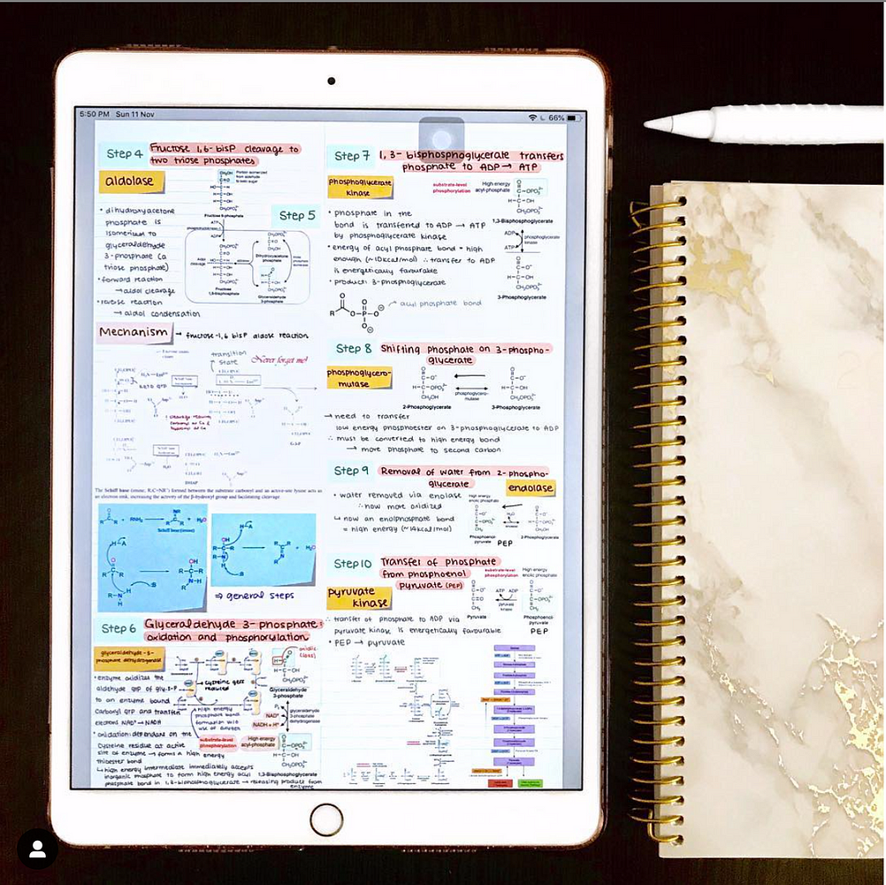 growly notes ipad app